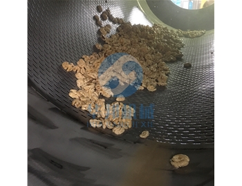 【河南客户】中型核桃仁去皮机试机
