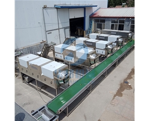 华邦机械新疆客户核桃仁去皮机 都在用