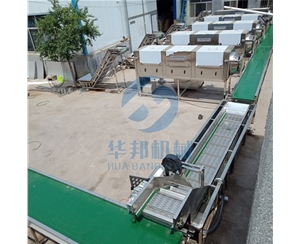 核桃仁去皮机特点 华邦机械