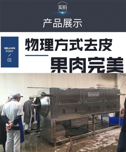 中型核桃仁去皮机