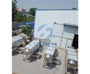 可调速核桃仁脱衣机 去皮核桃仁