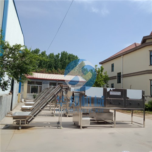 核桃仁去皮机 厂家直销