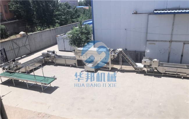 提供工艺 核桃仁脱衣机