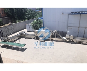 提供工艺 核桃仁脱衣机