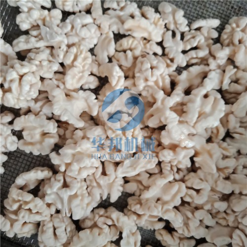 终生维护核桃仁脱衣机 去皮机支持免费试机