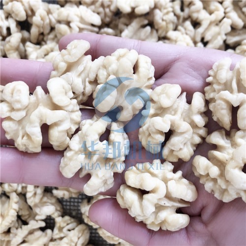 核桃仁去皮机 脱皮率98%