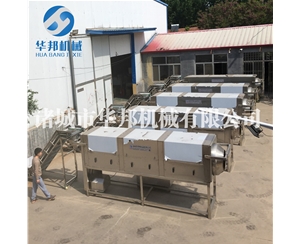 视频提供核桃仁去皮机 不同地去区衣核桃仁