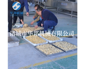 核桃仁脱皮机 华邦机械大批量核桃仁去衣设备