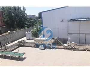 华邦机械核桃仁去衣机 不同品种进行去皮