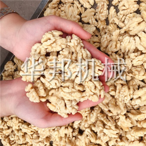 核桃仁脱皮机 华邦机械全自动核桃仁去衣流水线