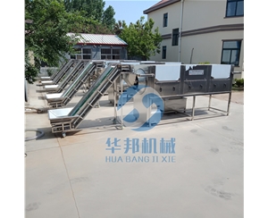 2019新型核桃仁去皮机 核桃乳前处理设备