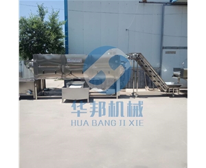 大型核桃仁去皮机 核桃仁脱皮加工流水线