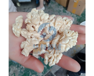2019不限品种核桃仁去皮机 物理去皮