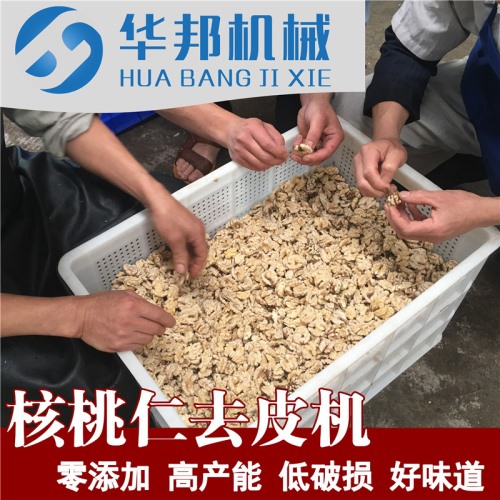 物理核桃仁去皮机厂 根据厂房定制 去核桃仁内皮的机器
