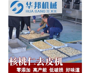 大型核桃仁去皮机哪家好 华邦核桃仁脱皮机