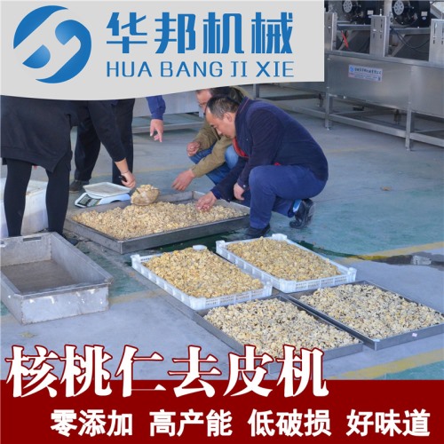 大型核桃仁去皮机哪家好 华邦核桃仁脱皮机