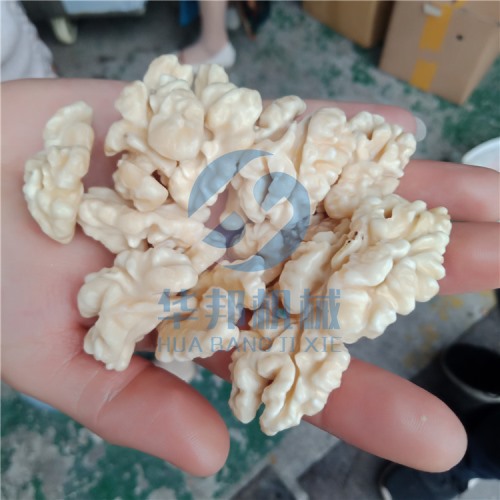 免费安装 核桃仁去皮机