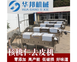 核桃仁深加工去皮流水线