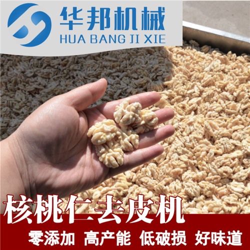 核桃仁去皮机  制作核桃粉需求设备 核桃仁脱皮机