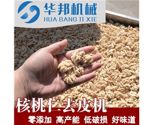 核桃仁去皮机  制作核桃粉需求设备 核桃仁脱皮机