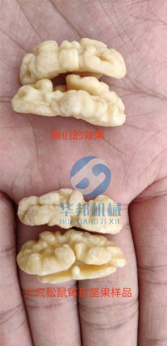 核桃仁烘干机