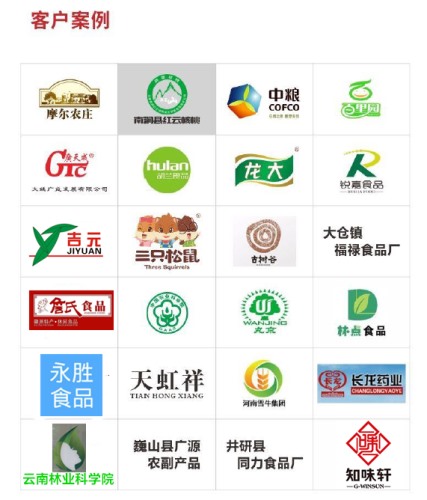 免费上门安装 核桃仁去皮机