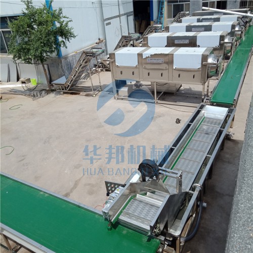 现场直观 去皮核桃仁 核桃仁去皮机