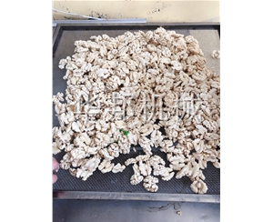 效率核桃仁去皮机