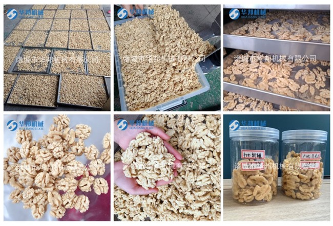 精工制作核桃仁去皮机 华邦去皮机原理