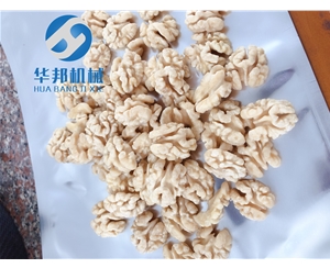 中型核桃仁脱衣机结构