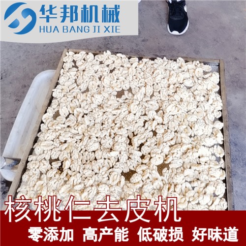 754净水核桃仁去皮机 自来水去皮