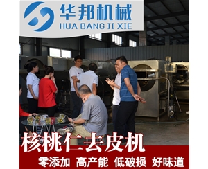 低损耗 核桃仁去皮机