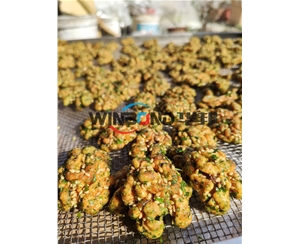 新品海苔味琥珀核桃仁炒锅 可定制 风味核桃仁加工设备