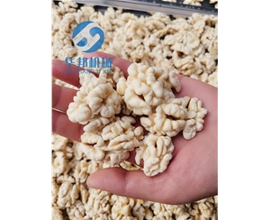 核桃仁去皮机 华邦机械核桃仁去衣机