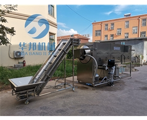 核桃仁去皮机 大型核桃仁去皮流水线 提供安装