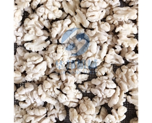 全自动 核桃仁加工流水线