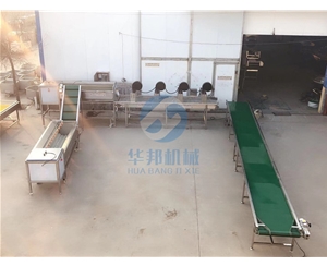 红薯清洗机 红薯清洗机厂家