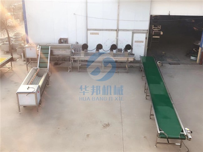 红薯清洗机 红薯清洗机厂家