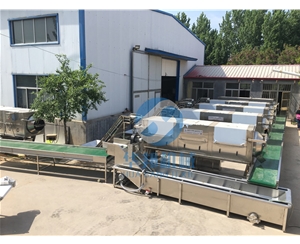 大型核桃仁去皮机 全自动核桃仁脱衣机