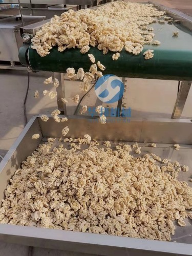 核桃仁去皮机 核桃仁去皮流水线 免费设计安装