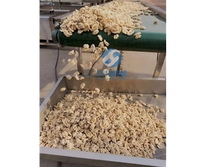 核桃仁去皮机 核桃仁去皮流水线 免费设计安装