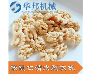 核桃仁去皮机 核桃仁快速去皮机器 免费试机