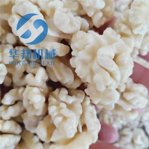 清水 核桃仁去皮机