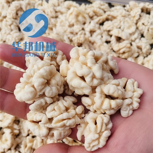 核桃仁加工设备 节水核桃仁去皮机