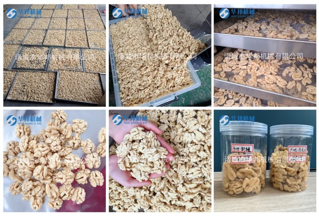 核桃仁烘干机 核桃仁烘干工艺 三只松鼠供货标准
