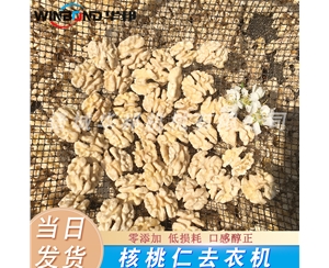 去皮核桃仁设备 每日坚果核桃仁去皮机