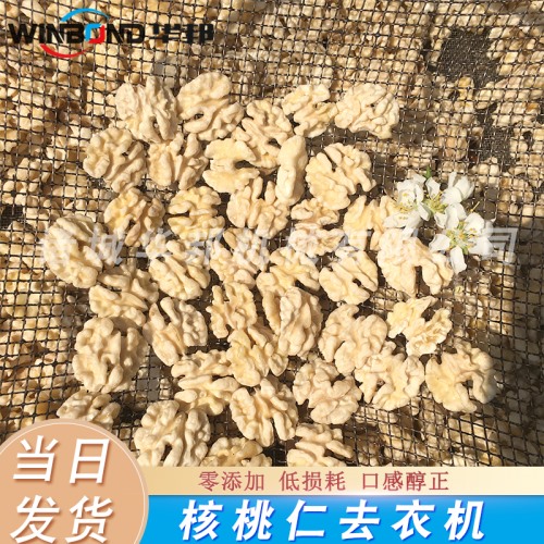 去皮核桃仁设备 每日坚果核桃仁去皮机