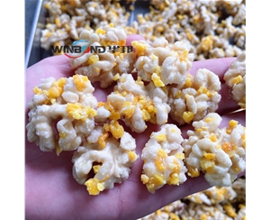 芒果核桃仁加工设备 华邦核桃仁去皮机 多口味