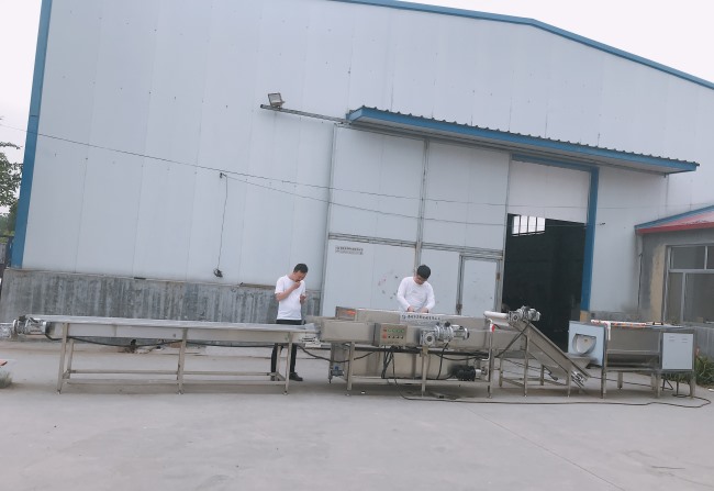 华邦批量定制红薯清洗机 供应红薯清洗生产线