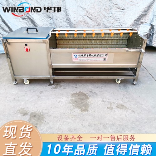 华邦生产胡萝卜清洗机 萝卜清洗设备型号齐全 十年品质